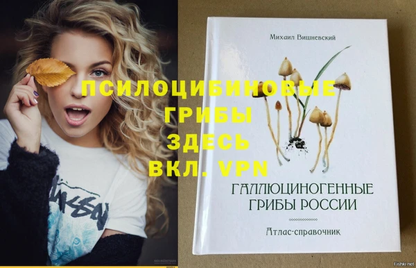 PSILOCYBIN Бежецк