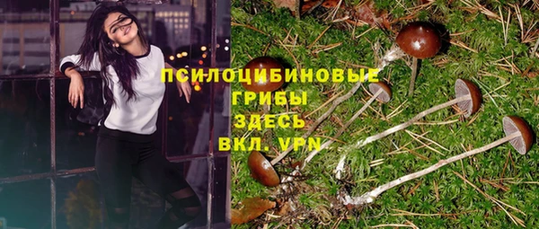 каннабис Нестеровская
