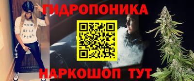 индика Бийск