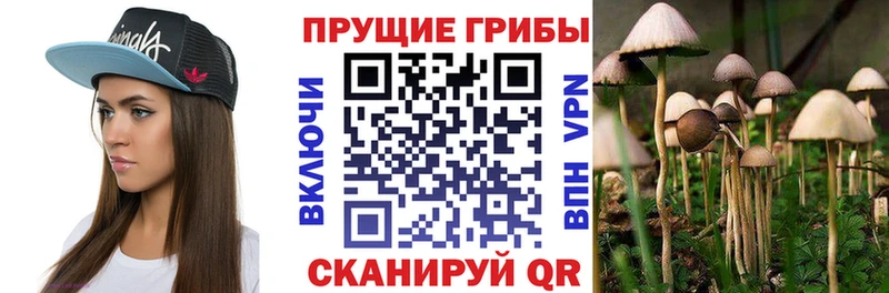 Галлюциногенные грибы Psilocybine cubensis  магазин  наркотиков  Мытищи 