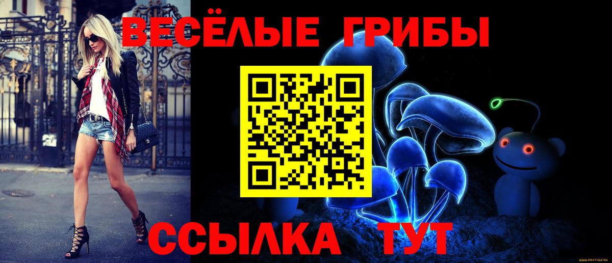 Мытищи  Галлюциногенные грибы MAGIC MUSHROOMS  Галлюциногенные грибы MAGIC MUSHROOMS  Вход с VPN 