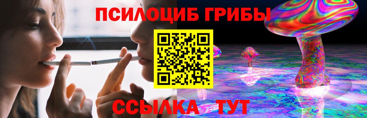 Псилоцибиновые грибы GOLDEN TEACHER  Псилоцибиновые грибы прущие грибы  Мытищи 